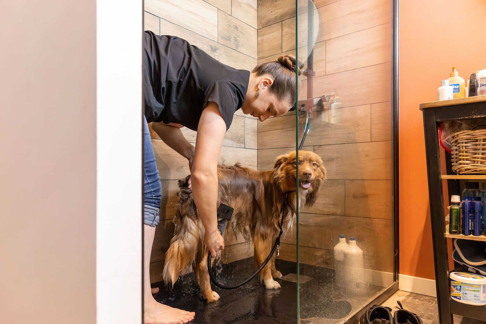 Douche d’un chien à poils longs dans la cabine de lavage